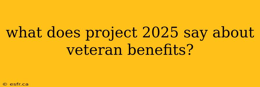 what does project 2025 say about veteran benefits?