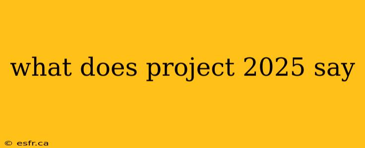 what does project 2025 say