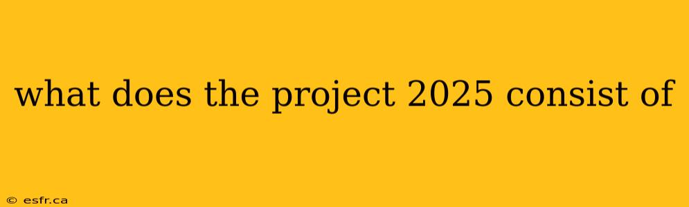 what does the project 2025 consist of