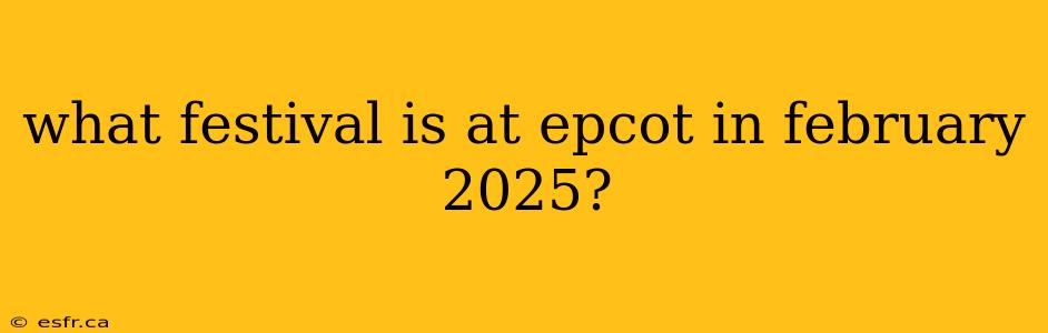 what festival is at epcot in february 2025?