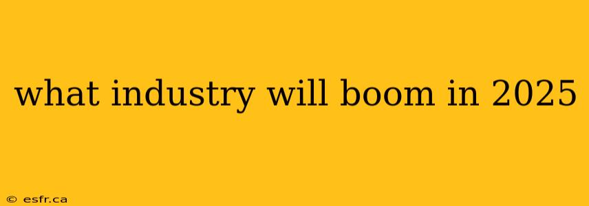 what industry will boom in 2025