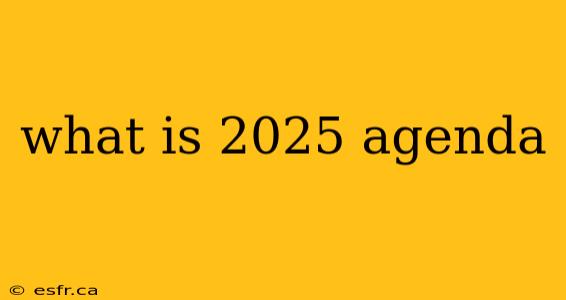 what is 2025 agenda