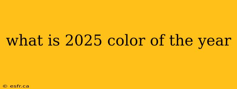 what is 2025 color of the year