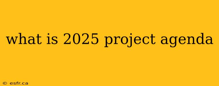 what is 2025 project agenda