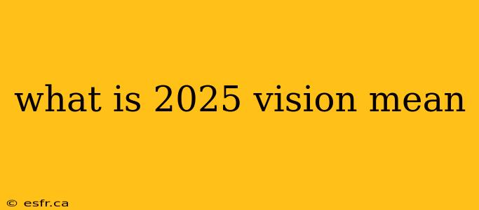 what is 2025 vision mean