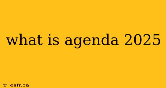 what is agenda 2025