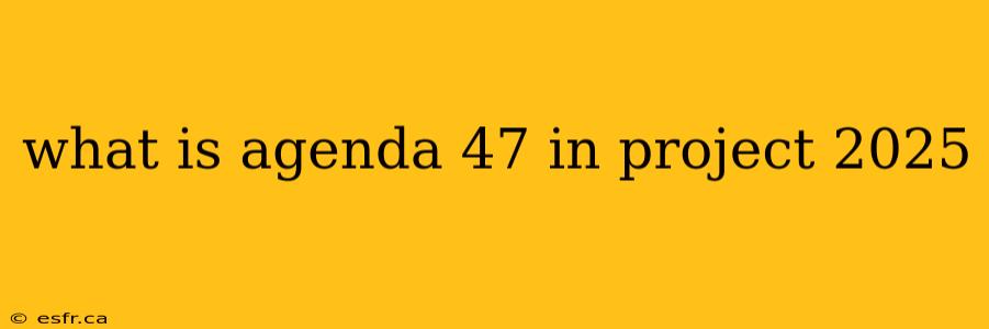 what is agenda 47 in project 2025