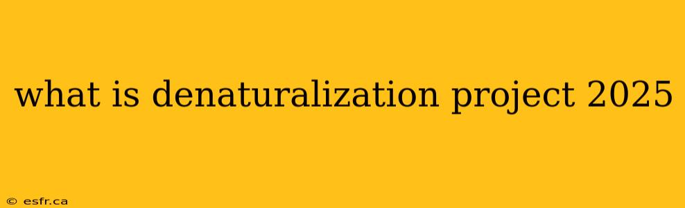 what is denaturalization project 2025