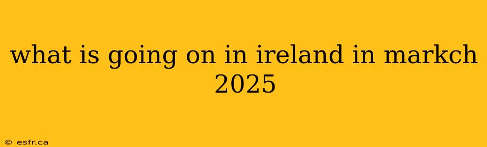 what is going on in ireland in markch 2025