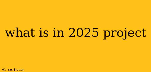 what is in 2025 project