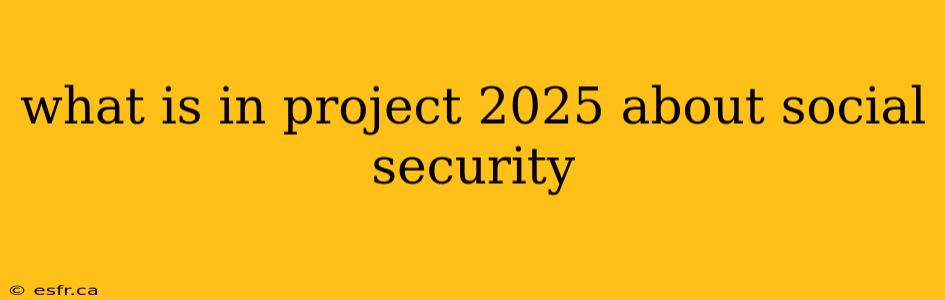 what is in project 2025 about social security