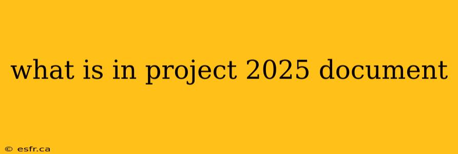 what is in project 2025 document