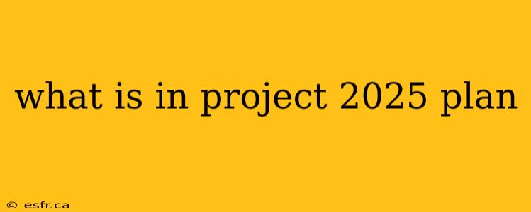 what is in project 2025 plan