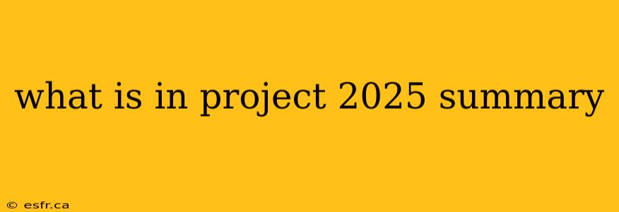 what is in project 2025 summary