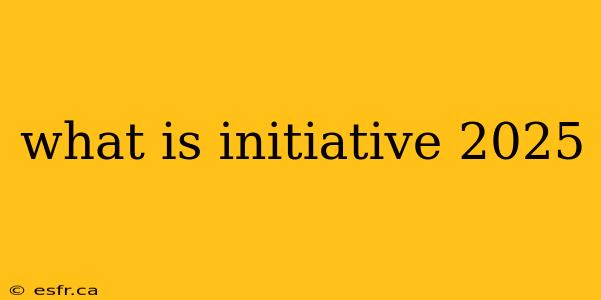 what is initiative 2025