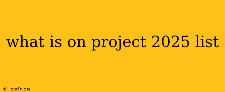 what is on project 2025 list