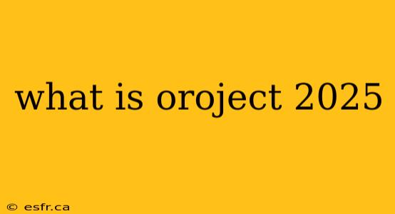 what is oroject 2025