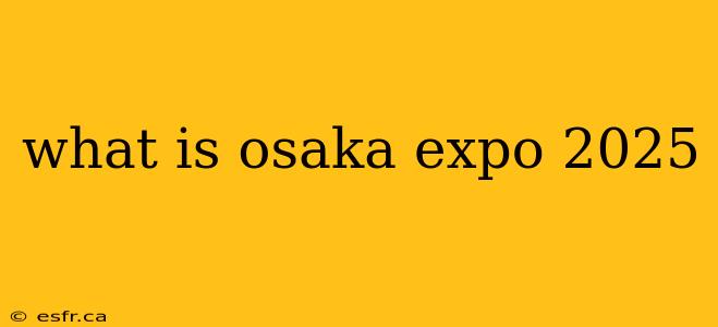 what is osaka expo 2025