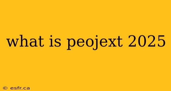 what is peojext 2025