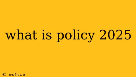 what is policy 2025