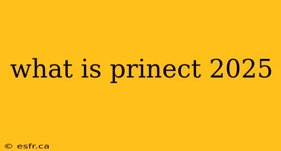 what is prinect 2025