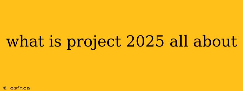 what is project 2025 all about