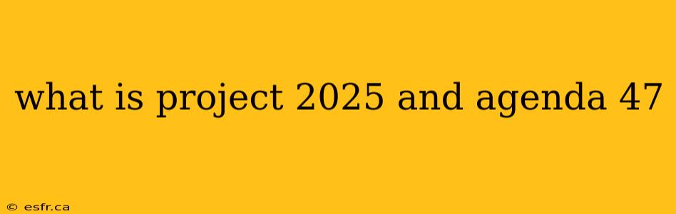 what is project 2025 and agenda 47