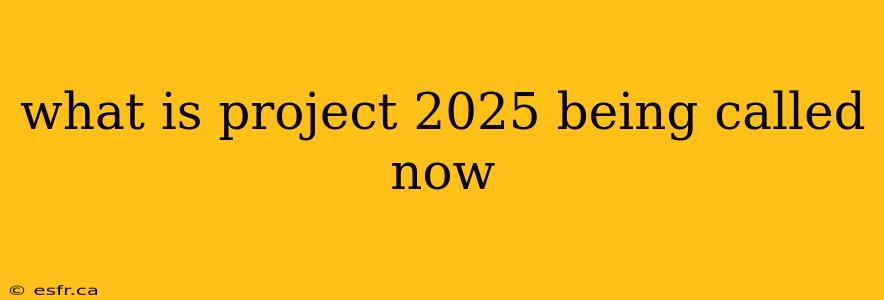 what is project 2025 being called now