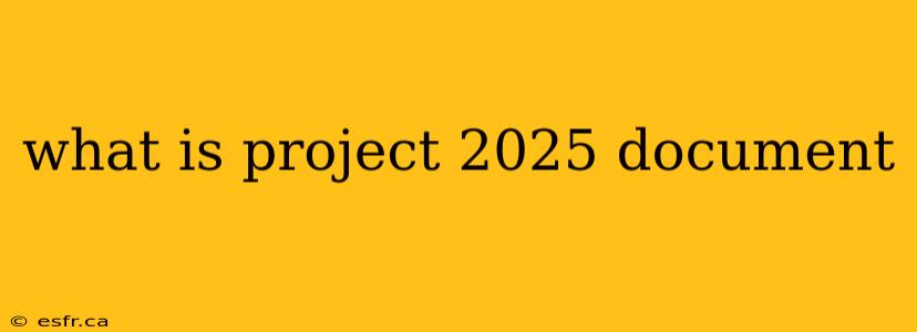 what is project 2025 document