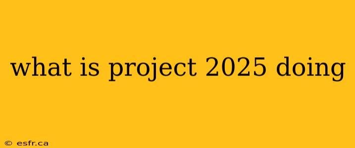 what is project 2025 doing