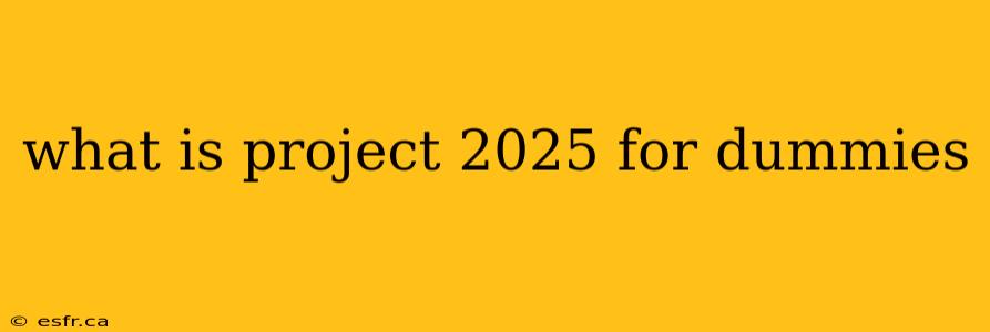 what is project 2025 for dummies