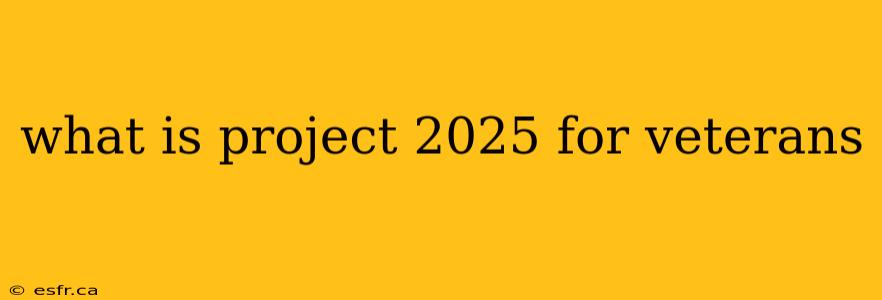 what is project 2025 for veterans