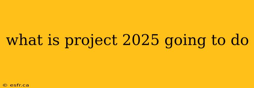 what is project 2025 going to do