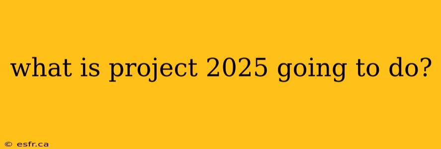 what is project 2025 going to do?