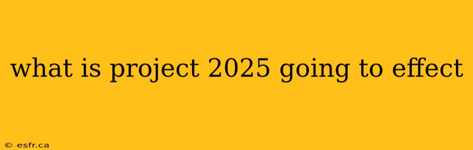 what is project 2025 going to effect