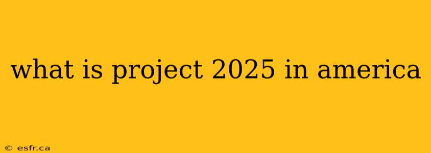 what is project 2025 in america