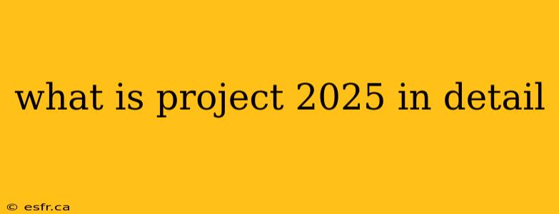 what is project 2025 in detail