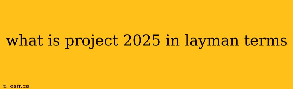 what is project 2025 in layman terms