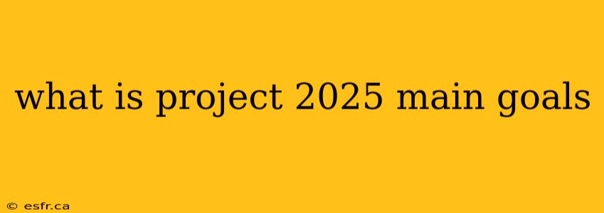 what is project 2025 main goals