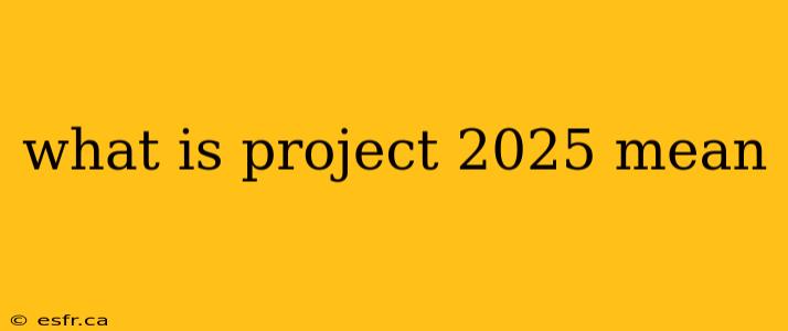 what is project 2025 mean