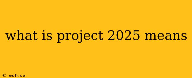 what is project 2025 means