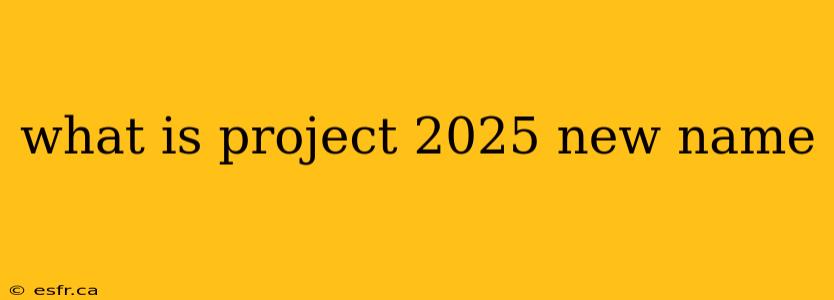 what is project 2025 new name