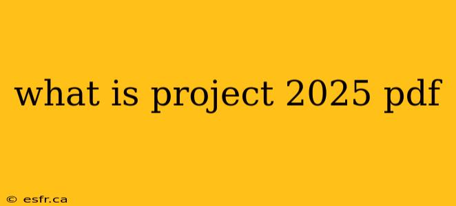 what is project 2025 pdf