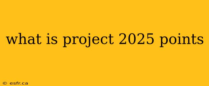 what is project 2025 points