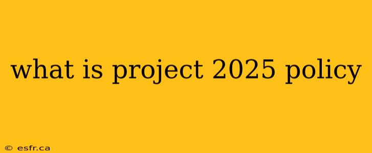 what is project 2025 policy