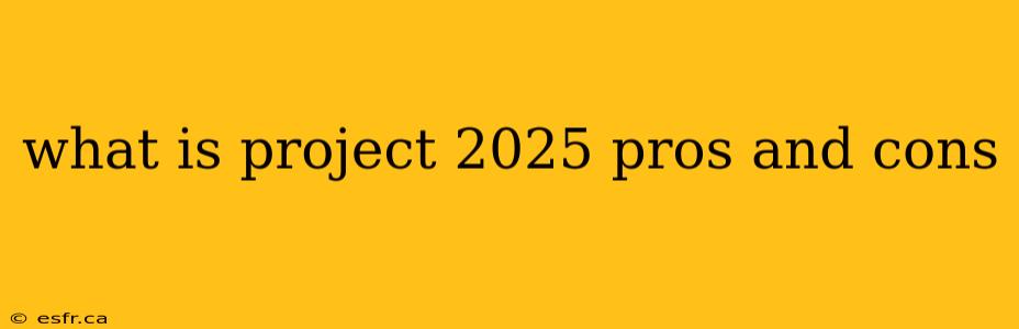 what is project 2025 pros and cons