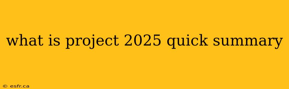 what is project 2025 quick summary