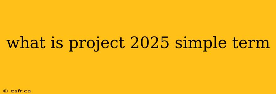 what is project 2025 simple term