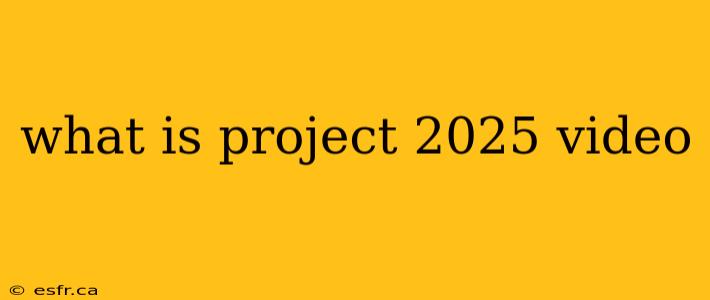 what is project 2025 video