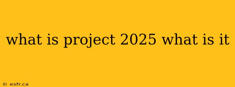 what is project 2025 what is it